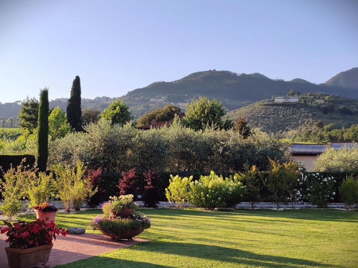 Tuscan Villa Exclusive Use Of Private Pool A/C Wifi Villa Briciola Capannori Dış mekan fotoğraf