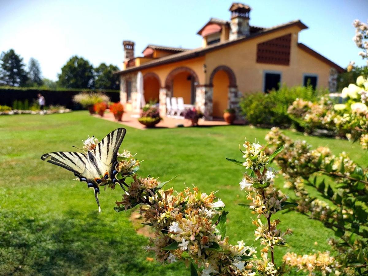 Tuscan Villa Exclusive Use Of Private Pool A/C Wifi Villa Briciola Capannori Dış mekan fotoğraf