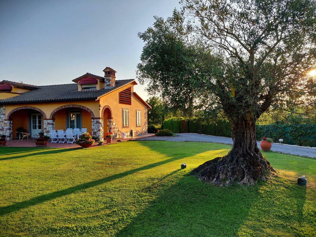 Tuscan Villa Exclusive Use Of Private Pool A/C Wifi Villa Briciola Capannori Dış mekan fotoğraf