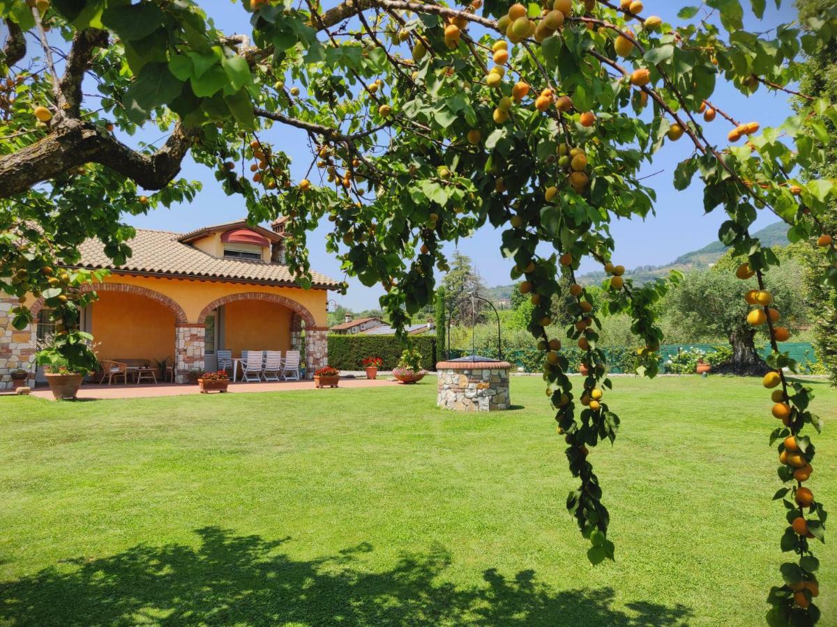 Tuscan Villa Exclusive Use Of Private Pool A/C Wifi Villa Briciola Capannori Dış mekan fotoğraf