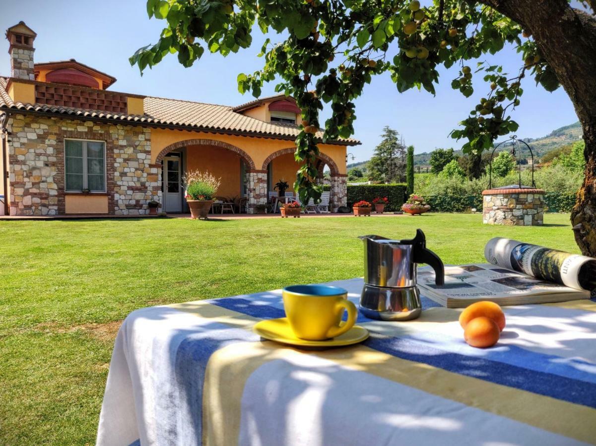 Tuscan Villa Exclusive Use Of Private Pool A/C Wifi Villa Briciola Capannori Dış mekan fotoğraf